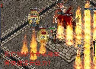 死亡细胞传奇私服如何快速提升战力? 死亡细胞传奇私服如何快速提升战力?