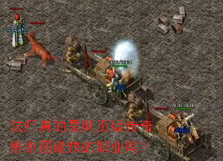 法师真的是网页版传奇里刷图最快的职业吗? 法师真的是网页版传奇里刷图最快的职业吗?