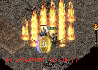 道士如何在搜好服中提升PK胜率? 道士如何在搜好服中提升PK胜率?