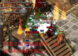 凤凰之羽与王者徽章,如何共同解锁传奇战力? 凤凰之羽与王者徽章,如何共同解锁传奇战力?