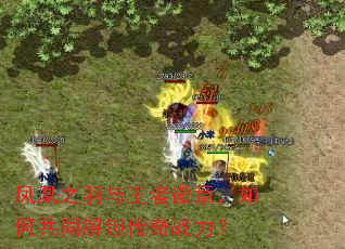 凤凰之羽与王者徽章,如何共同解锁传奇战力? 凤凰之羽与王者徽章,如何共同解锁传奇战力?