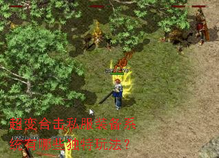超变合击私服装备系统有哪些独特玩法? 超变合击私服装备系统有哪些独特玩法?