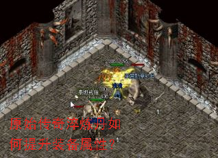 原始传奇淬炼丹如何提升装备属性? 原始传奇淬炼丹如何提升装备属性?