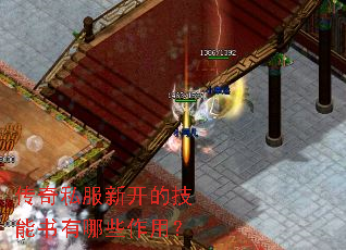 传奇私服新开的技能书有哪些作用? 传奇私服新开的技能书有哪些作用?