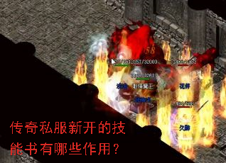 传奇私服新开的技能书有哪些作用? 传奇私服新开的技能书有哪些作用?