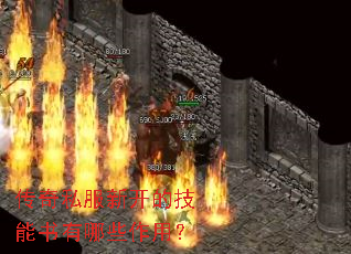 传奇私服新开的技能书有哪些作用? 传奇私服新开的技能书有哪些作用?