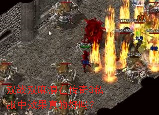 双战双麻痹在传奇3私服中效果真的好吗? 双战双麻痹在传奇3私服中效果真的好吗?