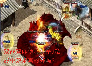 双战双麻痹在传奇3私服中效果真的好吗? 双战双麻痹在传奇3私服中效果真的好吗?