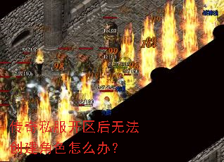 传奇私服开区后无法创建角色怎么办? 传奇私服开区后无法创建角色怎么办?