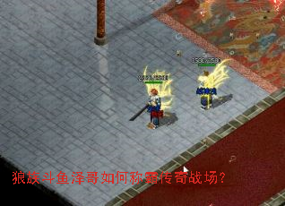 狼族斗鱼泽哥如何称霸传奇战场? 狼族斗鱼泽哥如何称霸传奇战场?