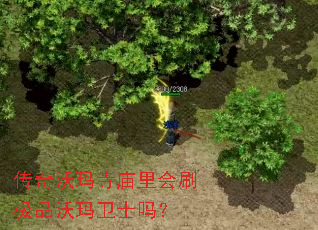 传奇沃玛寺庙里会刷极品沃玛卫士吗? 传奇沃玛寺庙里会刷极品沃玛卫士吗?