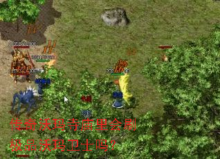 传奇沃玛寺庙里会刷极品沃玛卫士吗? 传奇沃玛寺庙里会刷极品沃玛卫士吗?