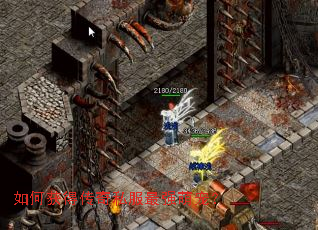 如何获得传奇私服最强萌宠? 如何获得传奇私服最强萌宠?