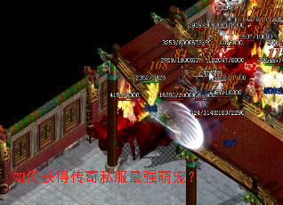 如何获得传奇私服最强萌宠? 如何获得传奇私服最强萌宠?