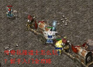 传奇私服道士怎么玩?新手入门全攻略 传奇私服道士怎么玩?新手入门全攻略