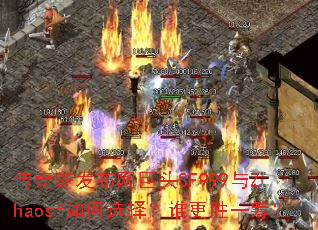 传奇SF发布网巨头SF999与Zhaosf如何选择?谁更胜一筹? 传奇SF发布网巨头SF999与Zhaosf如何选择?谁更胜一筹?