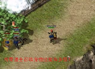 传奇道士召唤宠物技能有多强? 传奇道士召唤宠物技能有多强?