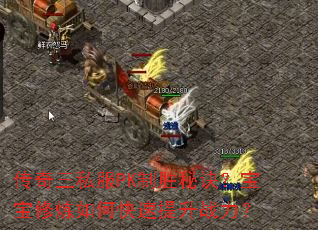 传奇三私服PK制胜秘诀?宝宝修炼如何快速提升战力? 传奇三私服PK制胜秘诀?宝宝修炼如何快速提升战力?