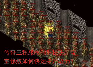 传奇三私服PK制胜秘诀?宝宝修炼如何快速提升战力? 传奇三私服PK制胜秘诀?宝宝修炼如何快速提升战力?