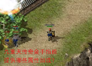 九重天传奇金手指能提供哪些属性加成? 九重天传奇金手指能提供哪些属性加成?