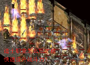 道士职业怎么玩才能快速提升战斗力? 道士职业怎么玩才能快速提升战斗力?