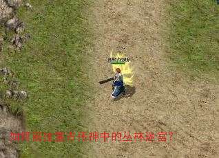 如何前往复古传神中的丛林迷宫? 如何前往复古传神中的丛林迷宫?