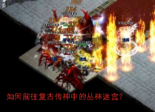 如何前往复古传神中的丛林迷宫? 如何前往复古传神中的丛林迷宫?