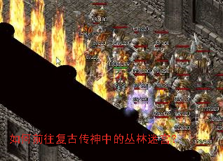 如何前往复古传神中的丛林迷宫? 如何前往复古传神中的丛林迷宫?