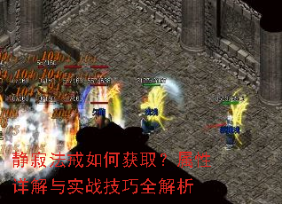 ���ŷ�����λ�ȡ�����������ʵս����ȫ����