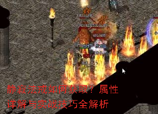 ���ŷ�����λ�ȡ�����������ʵս����ȫ����