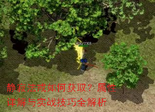 ���ŷ�����λ�ȡ�����������ʵս����ȫ����