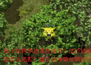 սʿ��ο�������ս������ʦ����������ô���䣿��ʿ�ٻ�����ν��ף�