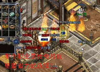 �ĸ�ְҵ�Ǵ�����Ϸ����ʡ����ѡ��