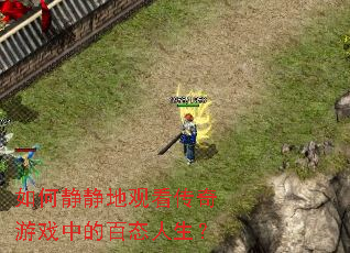 ��ξ����عۿ�������Ϸ�еİ�̬������