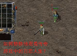 ��ξ����عۿ�������Ϸ�еİ�̬������