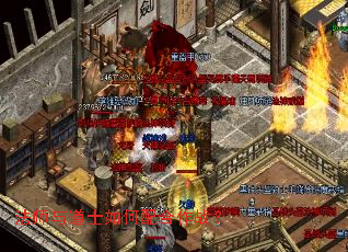 ��ʦ���ʿ��������ս��