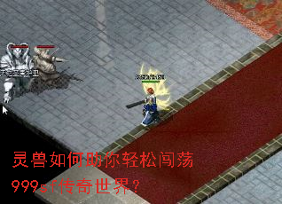 ��������������ɴ���999sf�������磿