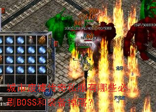 ���з��洫��˽������Щ��ˢBOSS��װ�����䣿