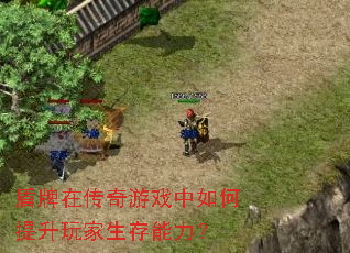 盾牌在传奇游戏中如何提升玩家生存能力? 盾牌在传奇游戏中如何提升玩家生存能力?