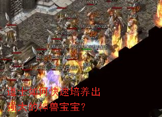 道士如何快速培养出强大的神兽宝宝? 道士如何快速培养出强大的神兽宝宝?