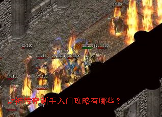 财神传奇新手入门攻略有哪些? 财神传奇新手入门攻略有哪些?