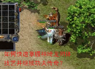 如何快速掌握神绮龙附体技艺并继续功夫传奇? 如何快速掌握神绮龙附体技艺并继续功夫传奇?