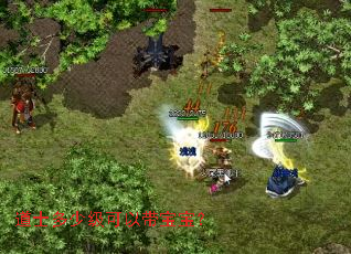 道士多少级可以带宝宝? 道士多少级可以带宝宝?