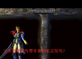 ����ˢ���ڴ����������ʵ����