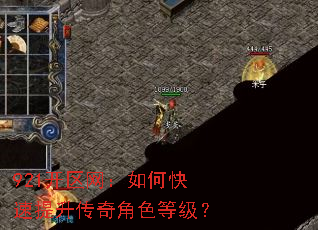 921开区网:如何快速提升传奇角色等级? 921开区网:如何快速提升传奇角色等级?