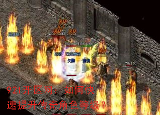 921开区网:如何快速提升传奇角色等级? 921开区网:如何快速提升传奇角色等级?