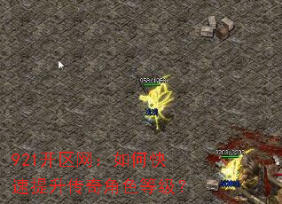 921开区网:如何快速提升传奇角色等级? 921开区网:如何快速提升传奇角色等级?