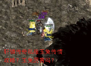 轩辕传奇私服玉兔传情攻略?玉兔厉害吗? 轩辕传奇私服玉兔传情攻略?玉兔厉害吗?