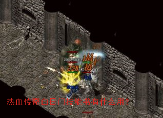 ��Ѫ��������ż�������ʲô�ã�