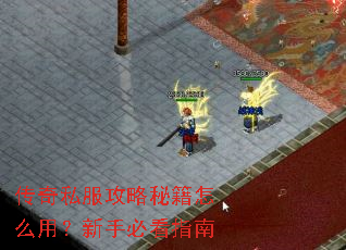 传奇私服攻略秘籍怎么用?新手必看指南 传奇私服攻略秘籍怎么用?新手必看指南